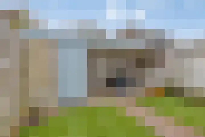 Goudenregenstraat 11 Beek thumbnail 28