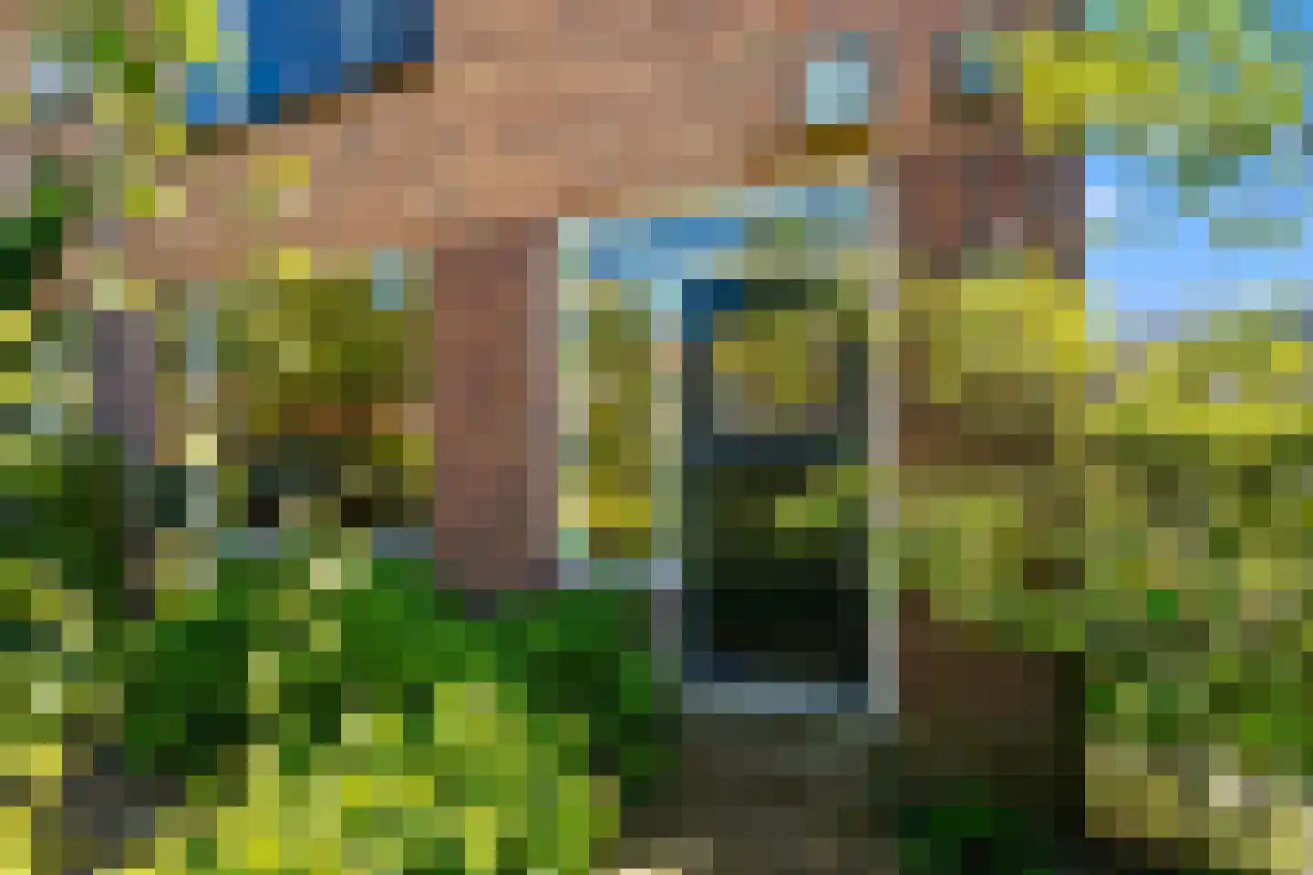 Goudenregenstraat 11 Schipluiden thumbnail 10