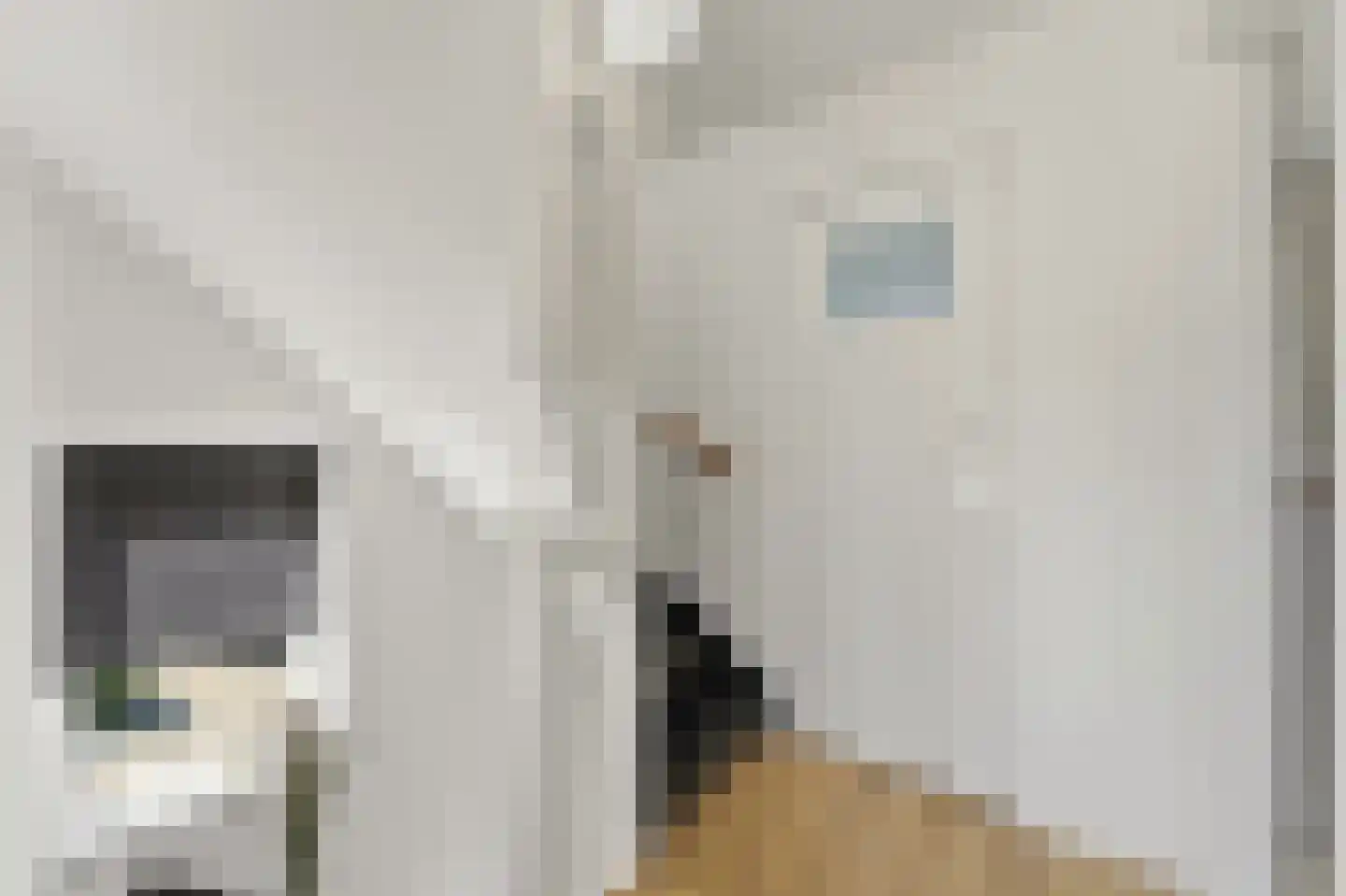 Goudenregenstraat 11 Schipluiden thumbnail 21