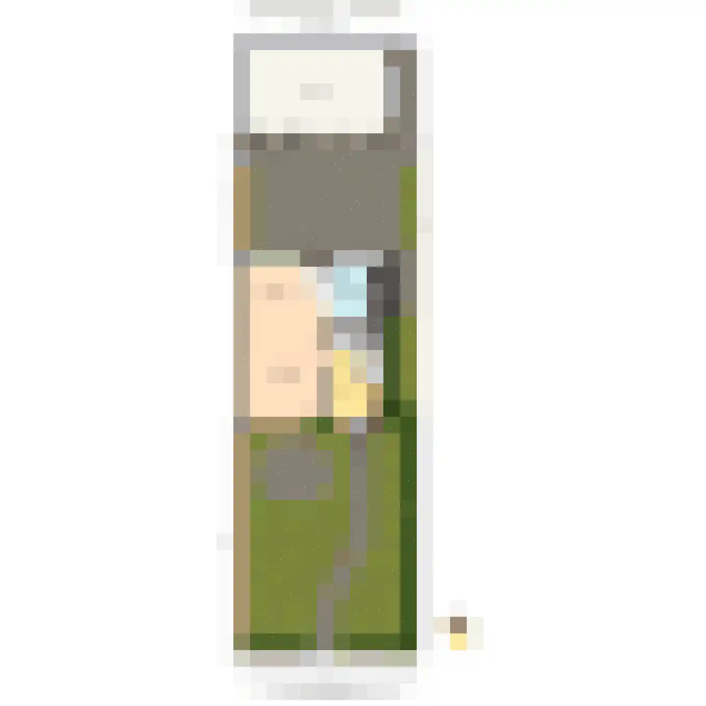 Goudenregenstraat 11 Schipluiden thumbnail 52
