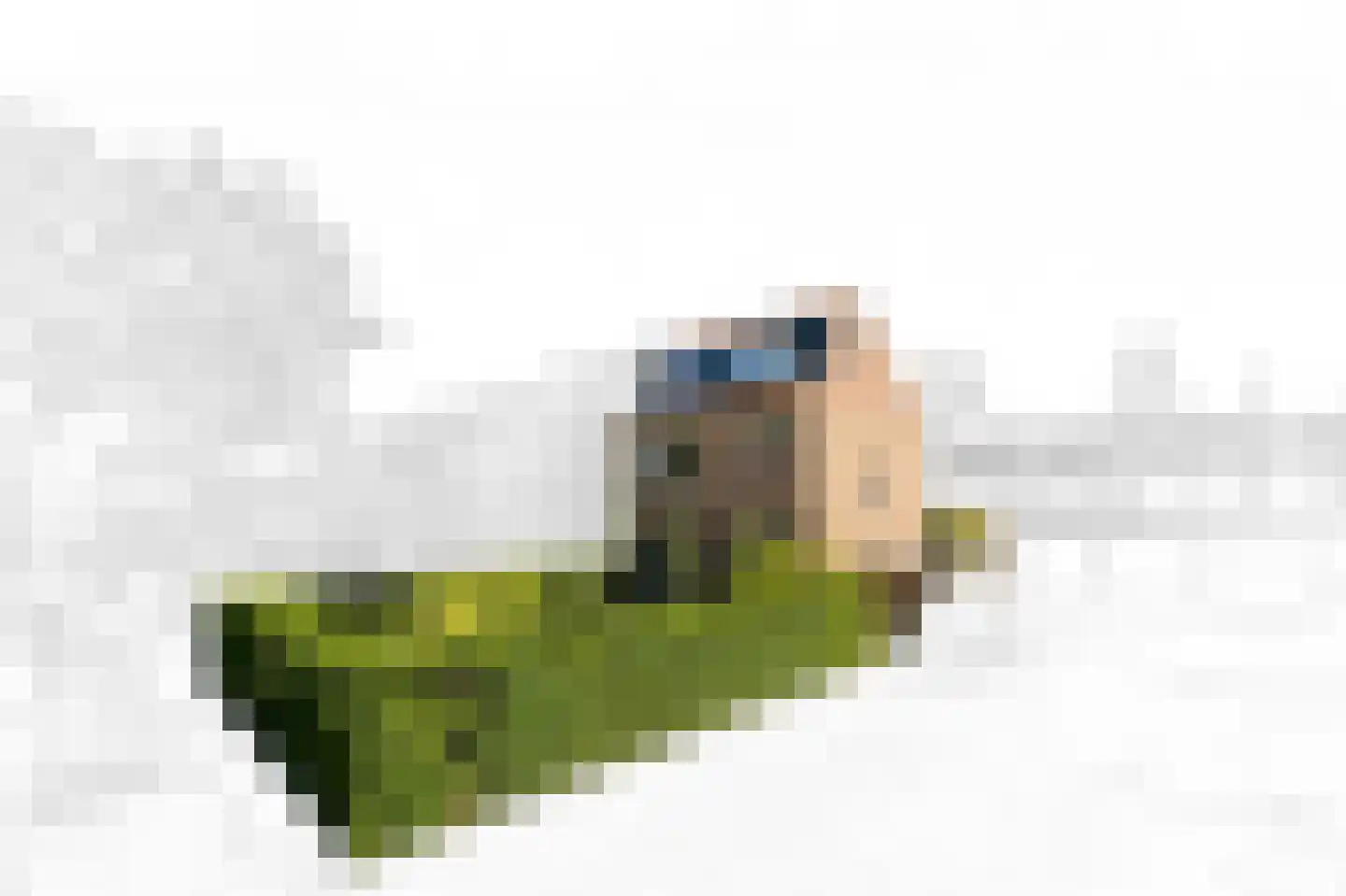 Goudenregenstraat 11 Schipluiden thumbnail 6