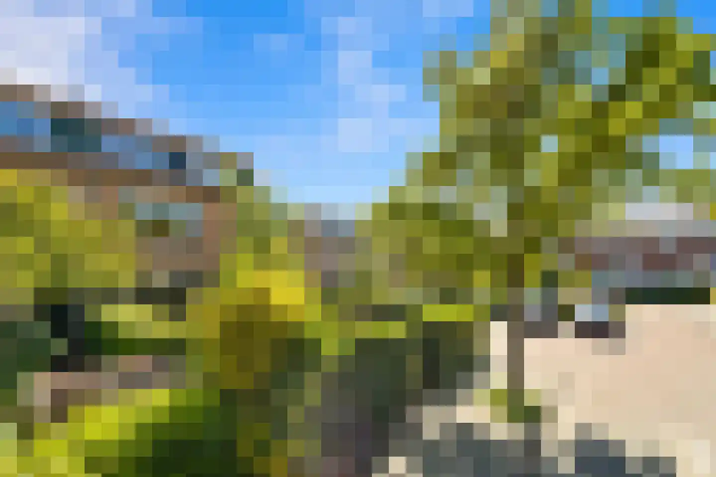 Goudenregenstraat 11 Schipluiden thumbnail 7
