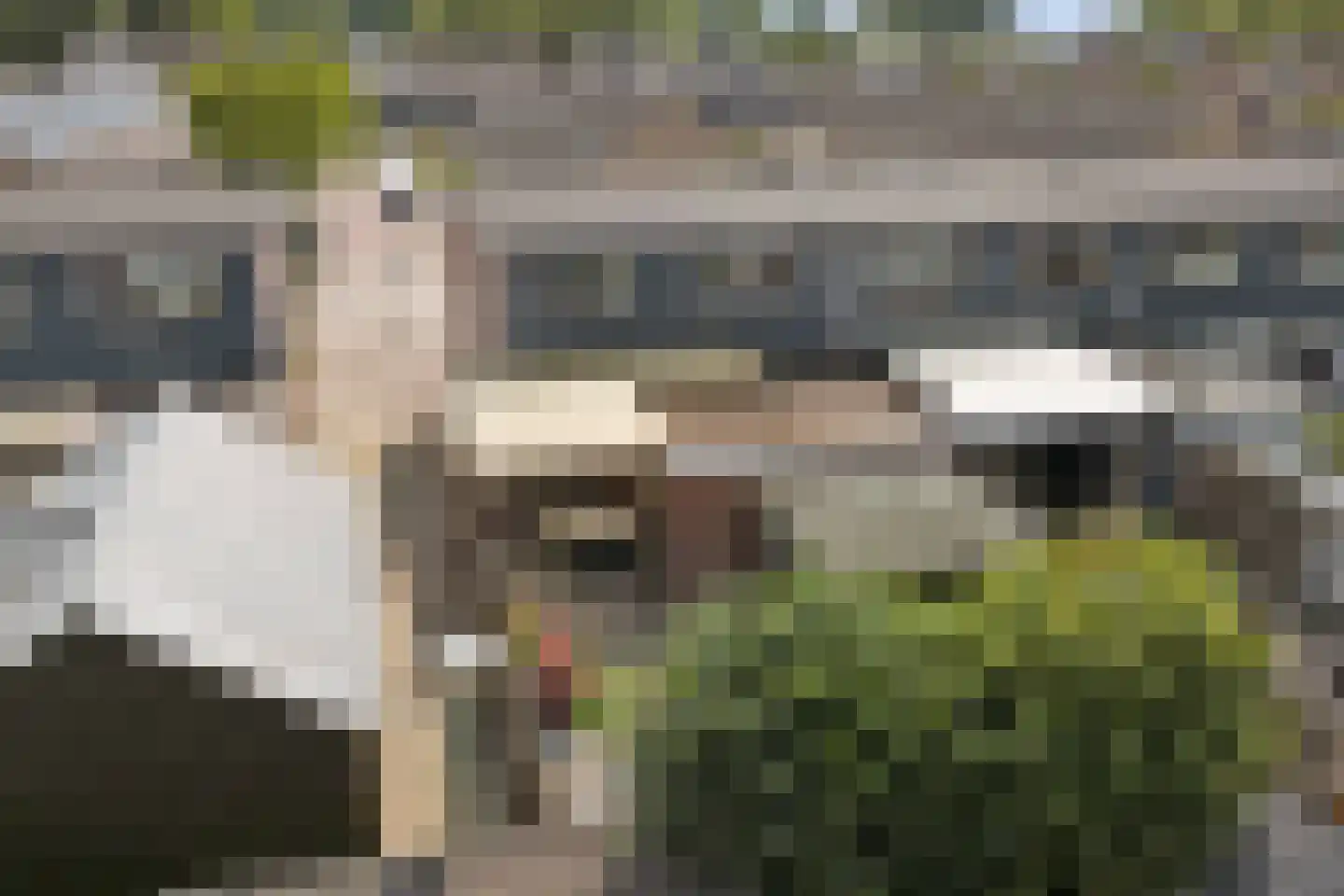 Goudenregenstraat 13 Hoogeveen thumbnail 36