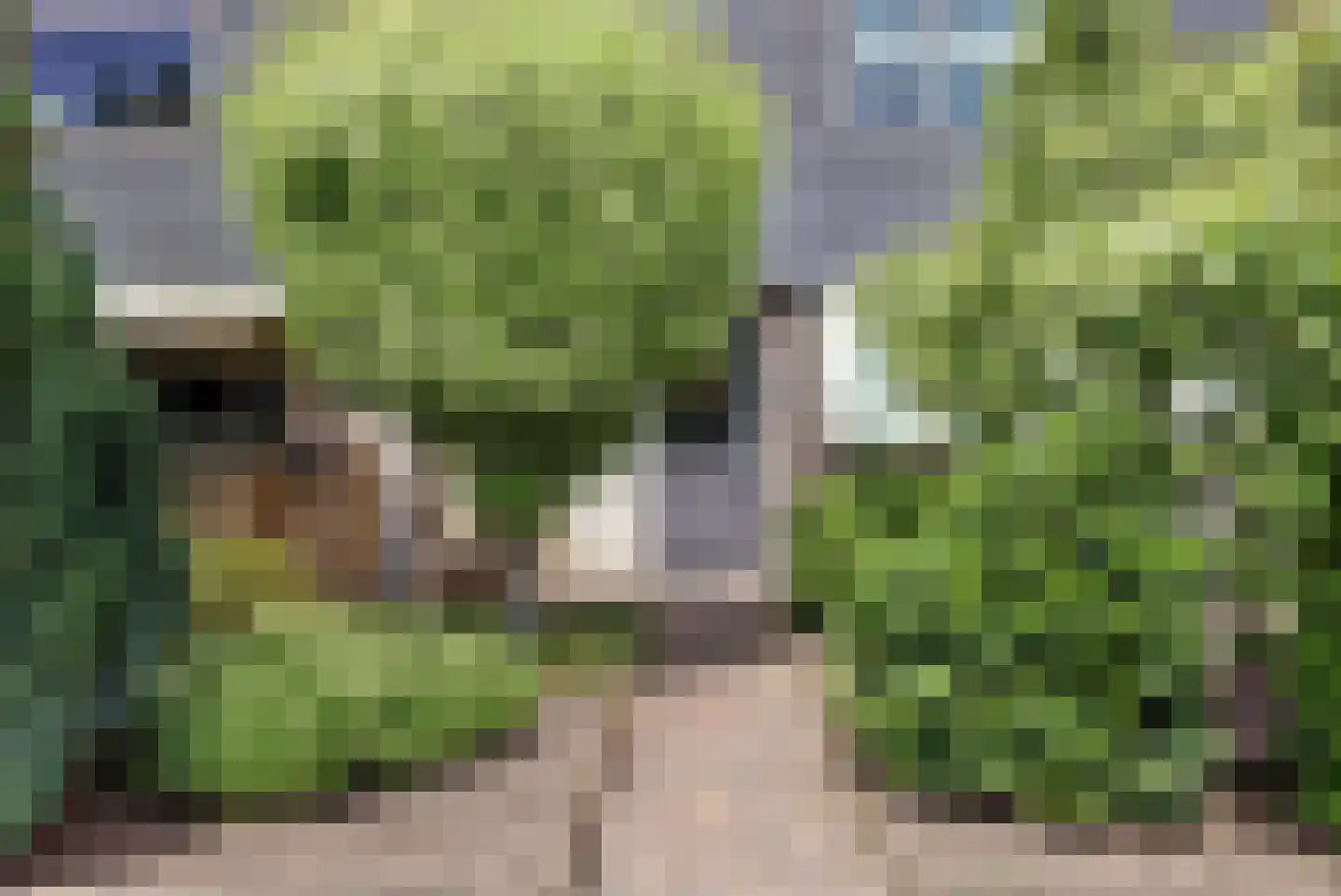 Goudenregenstraat 13 Hoogeveen thumbnail 6