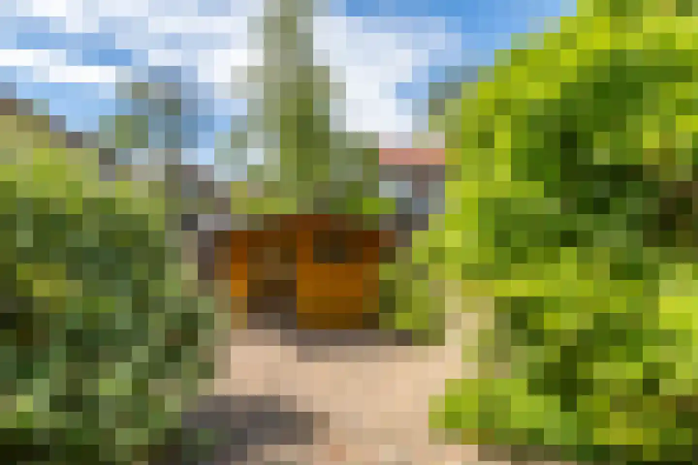 Goudenregenstraat 14 Brunssum thumbnail 20