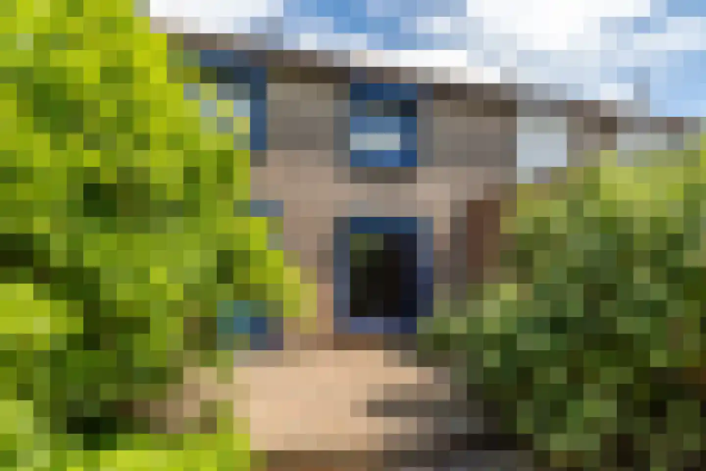 Goudenregenstraat 14 Brunssum thumbnail 21