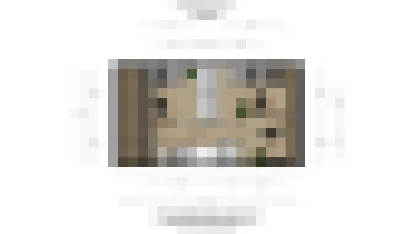 Goudenregenstraat 14 Monster thumbnail 61