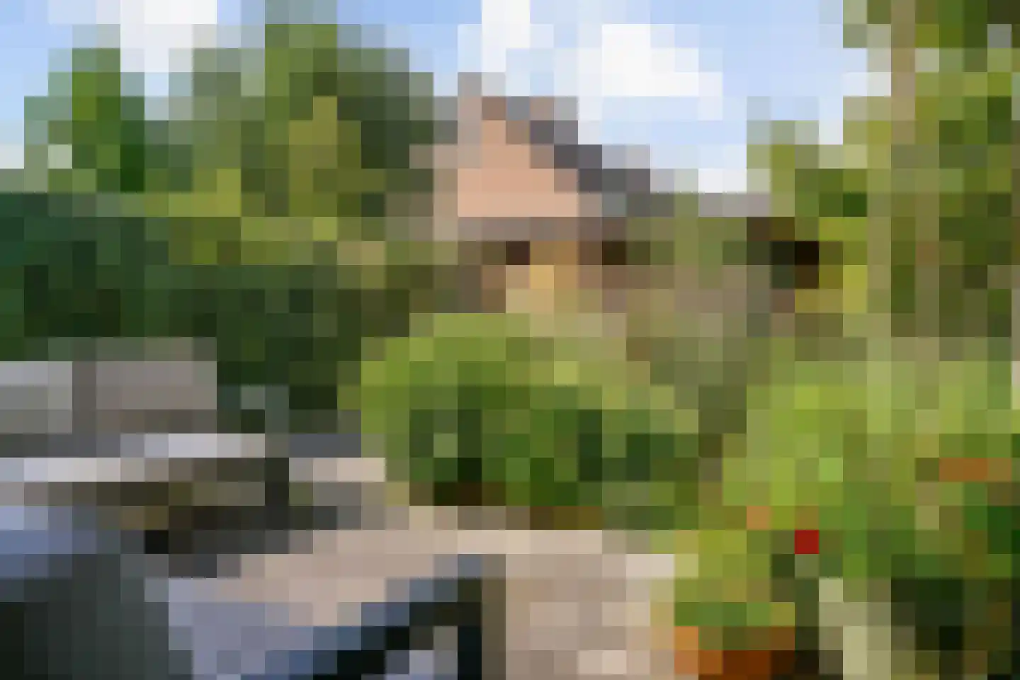 Goudenregenstraat 17 Aalsmeer thumbnail 46