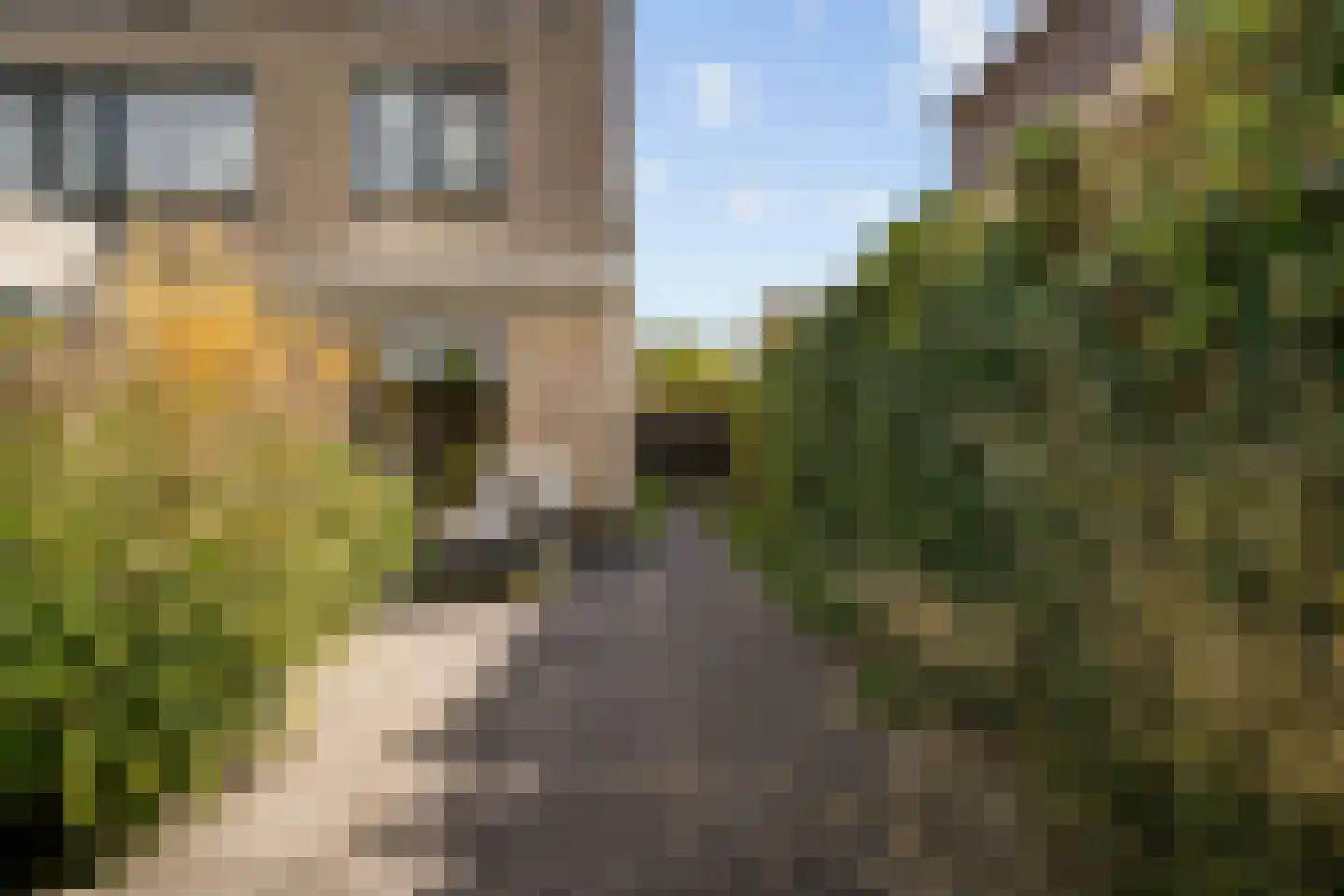 Goudenregenstraat 17 Aalsmeer thumbnail 52