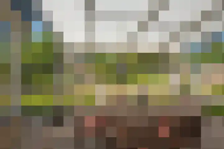 Goudenregenstraat 18 Borne thumbnail 38