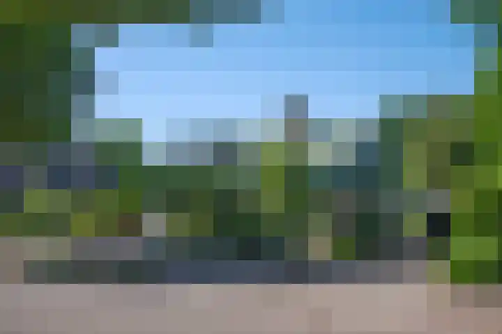 Goudenregenstraat 18 Borne thumbnail 5