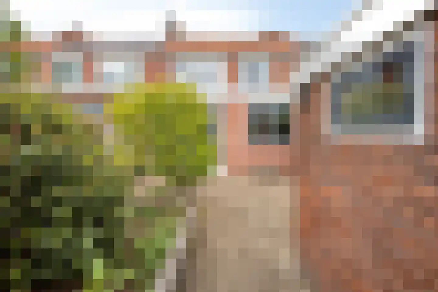 Goudenregenstraat 19 Lichtenvoorde thumbnail 24