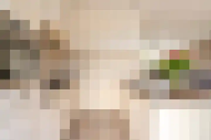 Goudenregenstraat 2 De Zilk thumbnail 11
