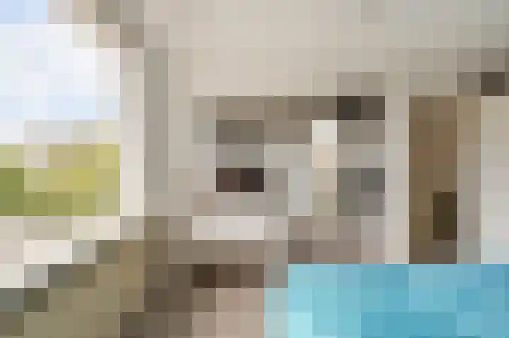 Goudenregenstraat 2 De Zilk thumbnail 19