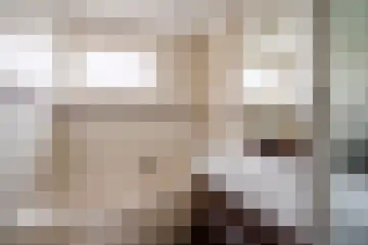 Goudenregenstraat 2 De Zilk thumbnail 23