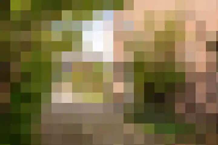Goudenregenstraat 2 De Zilk thumbnail 30