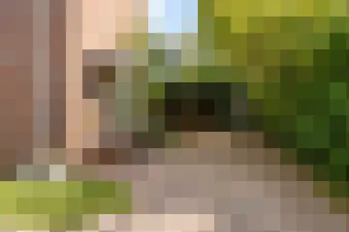 Goudenregenstraat 2 De Zilk thumbnail 32