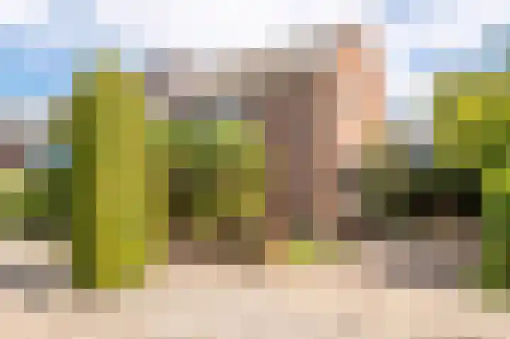 Goudenregenstraat 2 De Zilk thumbnail 33