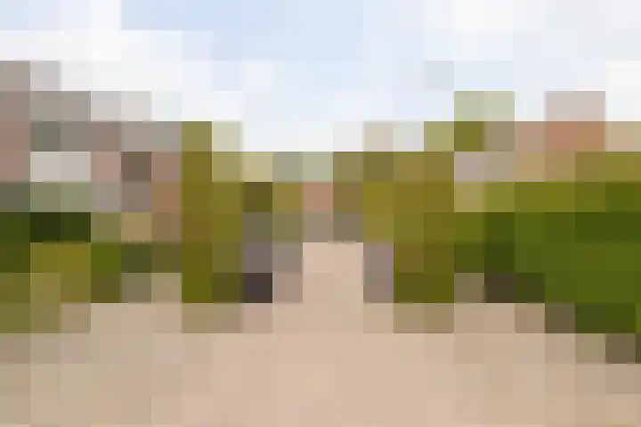 Goudenregenstraat 2 De Zilk thumbnail 34