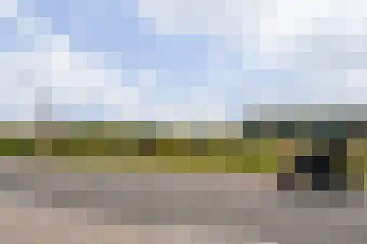 Goudenregenstraat 2 De Zilk thumbnail 35