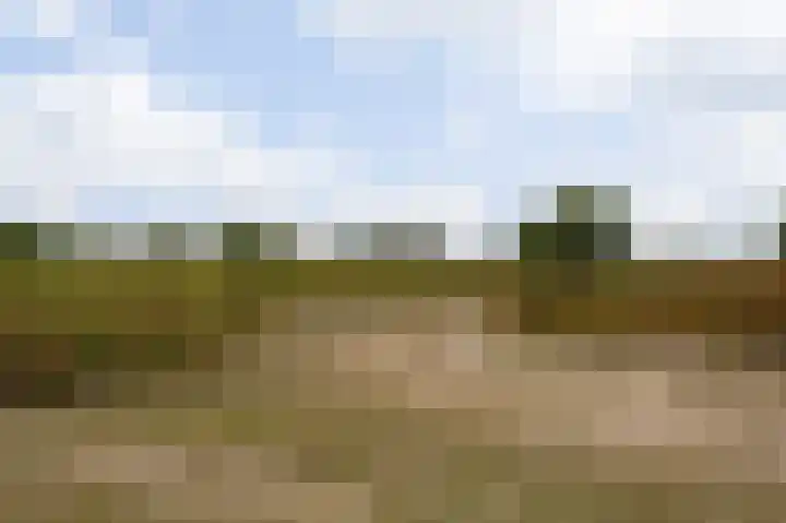 Goudenregenstraat 2 De Zilk thumbnail 37