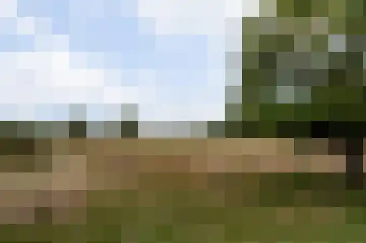 Goudenregenstraat 2 De Zilk thumbnail 38