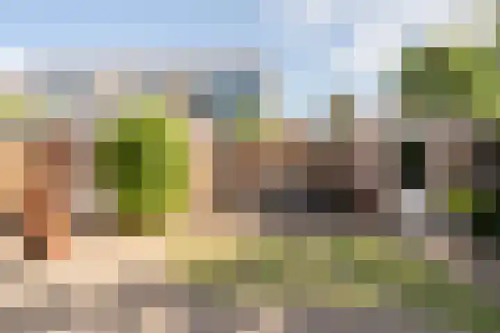 Goudenregenstraat 2 De Zilk thumbnail 5