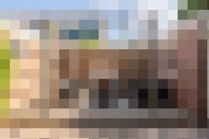 Goudenregenstraat 2 De Zilk thumbnail 6
