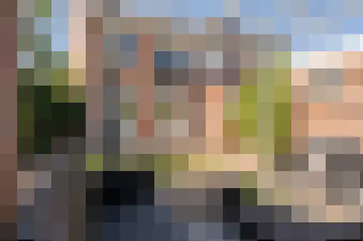 Goudenregenstraat 2 De Zilk thumbnail 7