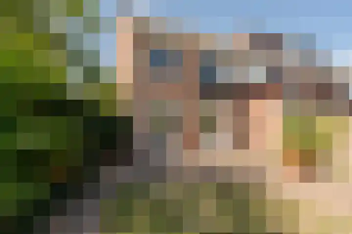 Goudenregenstraat 2 De Zilk thumbnail 8