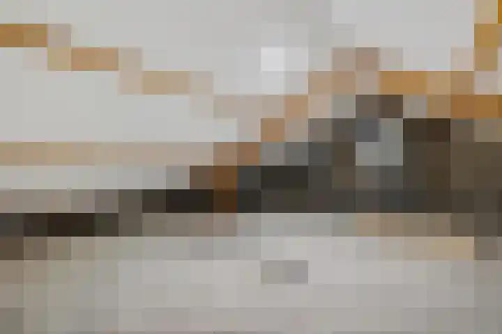 Goudenregenstraat 2 Musselkanaal thumbnail 17