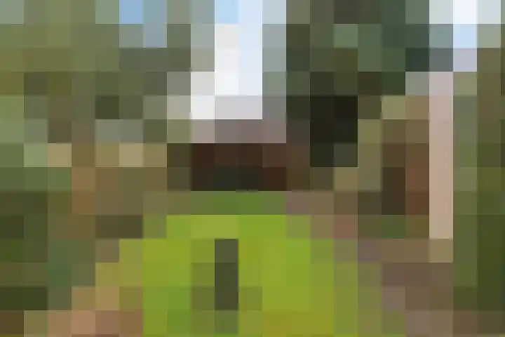 Goudenregenstraat 2 Musselkanaal thumbnail 18