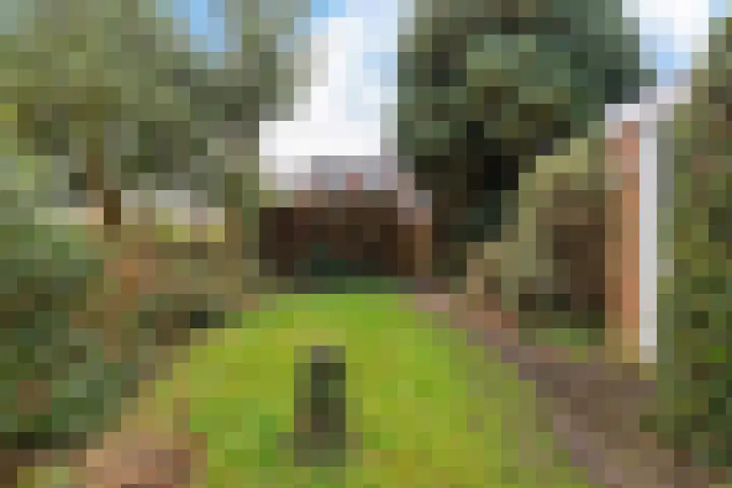 Goudenregenstraat 2 Musselkanaal thumbnail 18