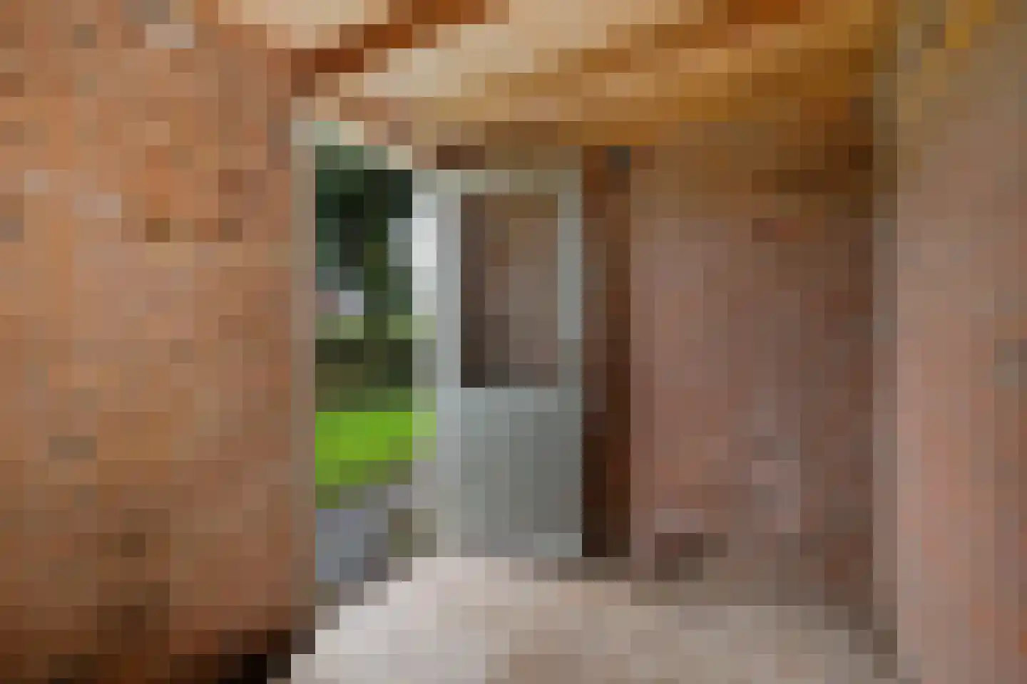 Goudenregenstraat 2 Musselkanaal thumbnail 21