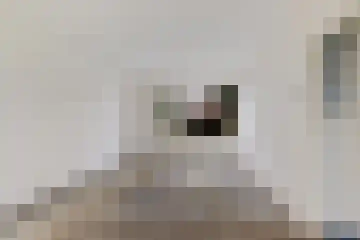 Goudenregenstraat 2 Musselkanaal thumbnail 6