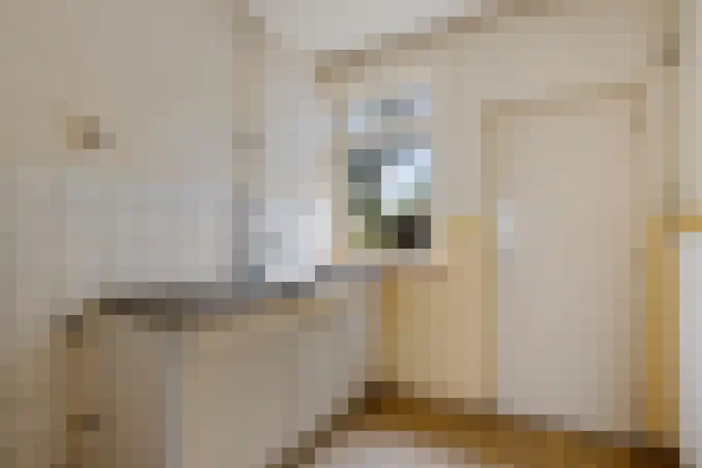 Goudenregenstraat 2 Musselkanaal thumbnail 9