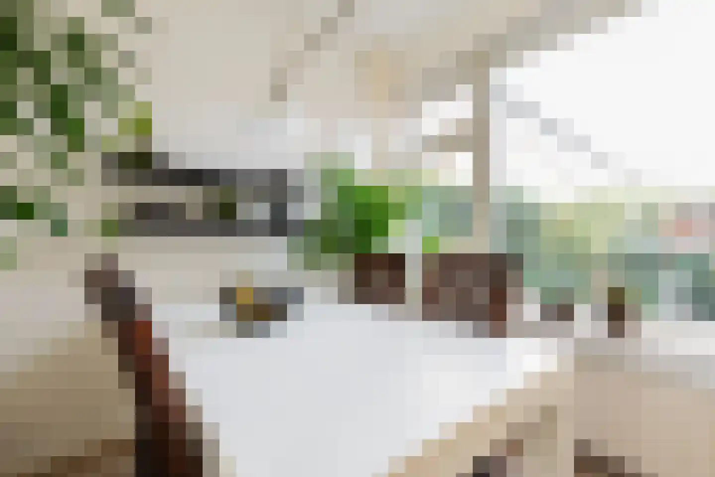 Goudenregenstraat 21 Groningen thumbnail 13
