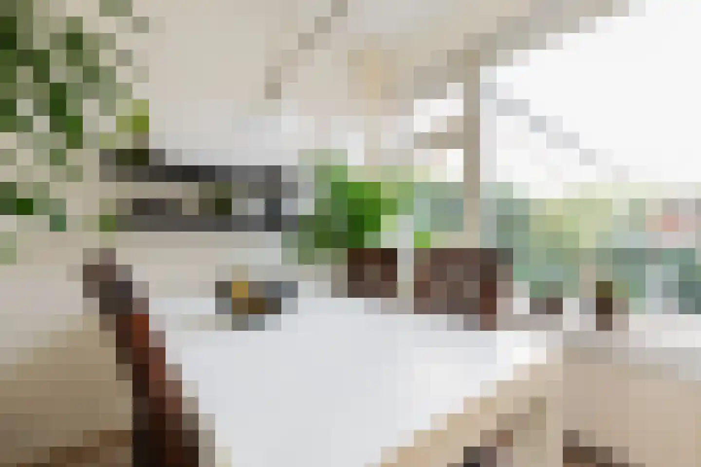 Goudenregenstraat 21 Groningen thumbnail 20