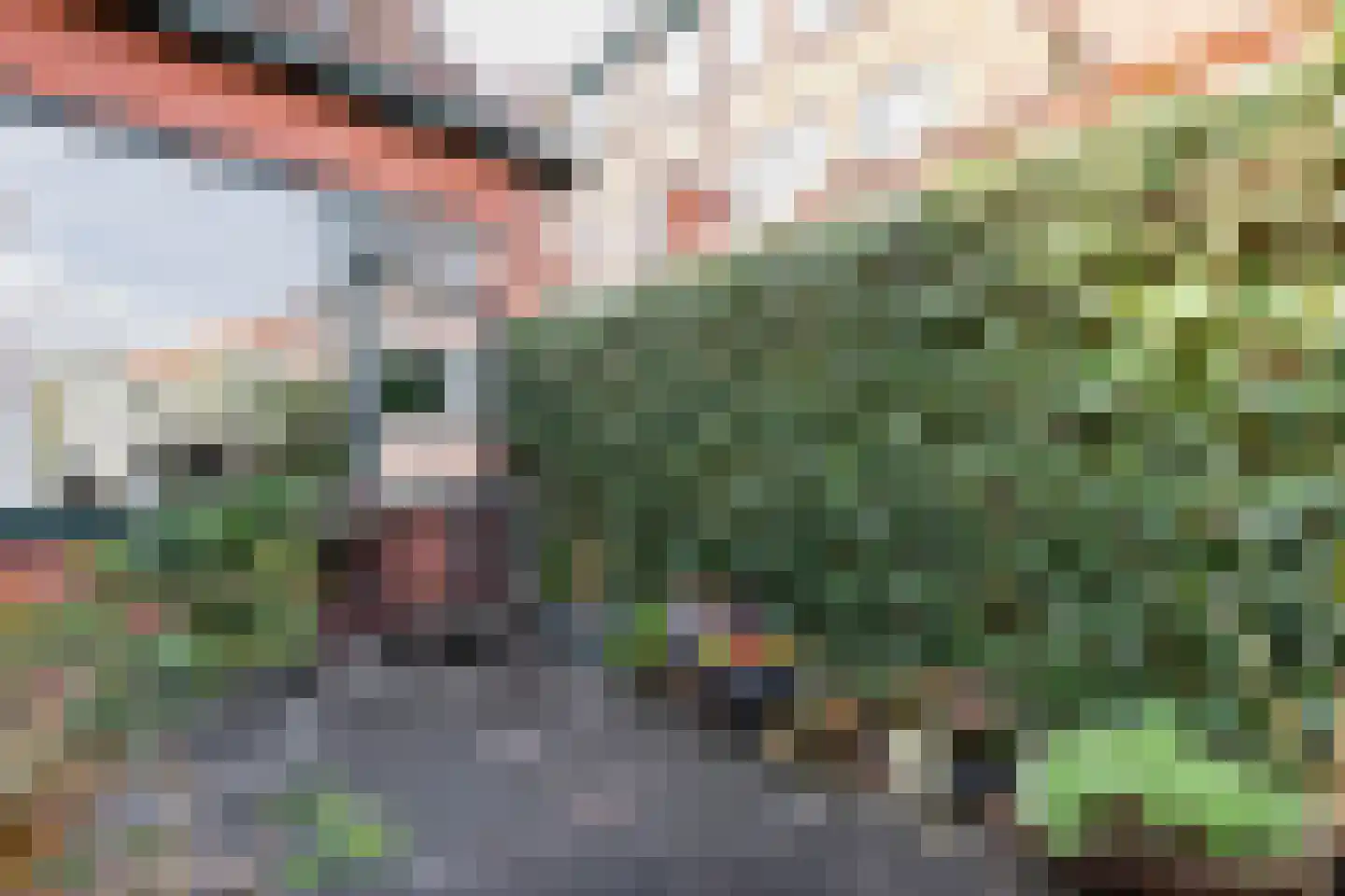 Goudenregenstraat 21 Groningen thumbnail 29