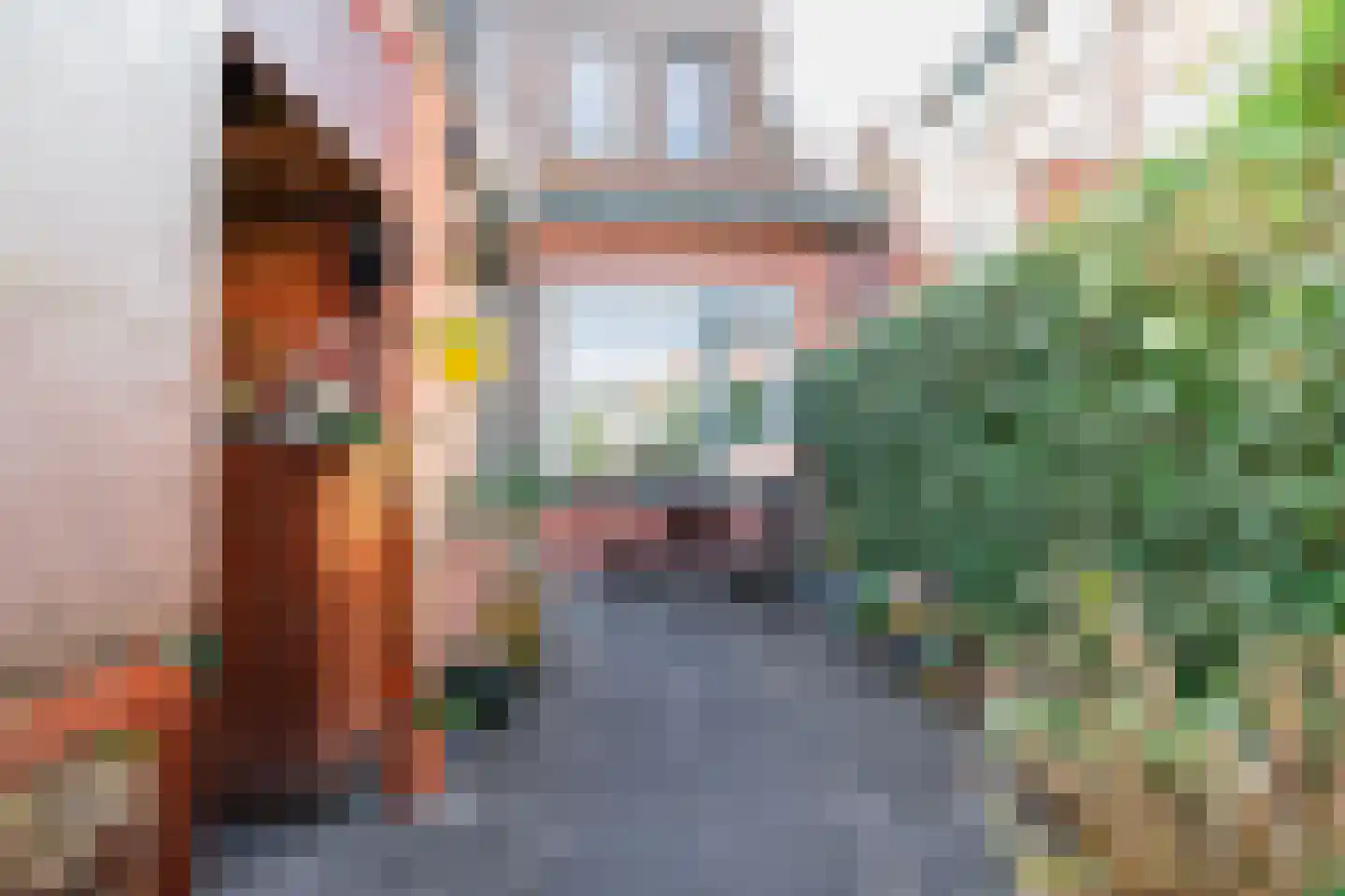 Goudenregenstraat 21 Groningen thumbnail 30