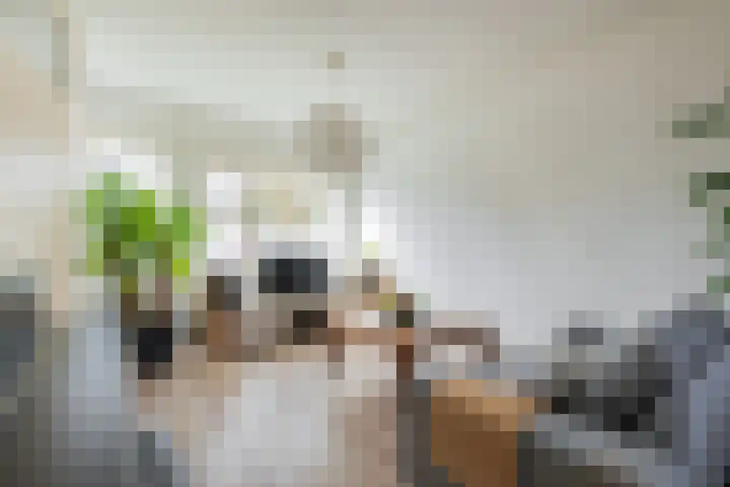 Goudenregenstraat 21 Groningen thumbnail 4