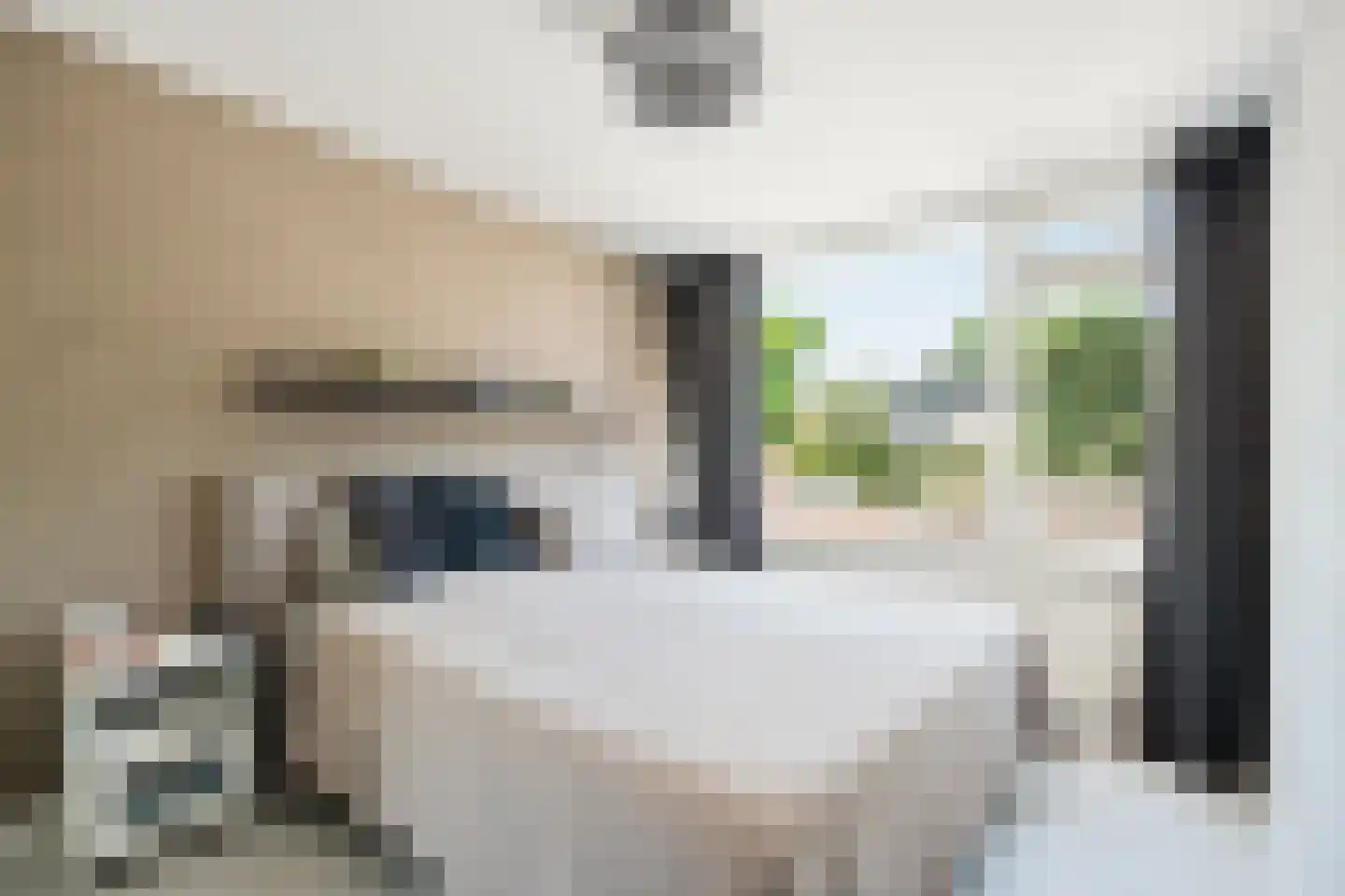Goudenregenstraat 23 De Zilk thumbnail 12