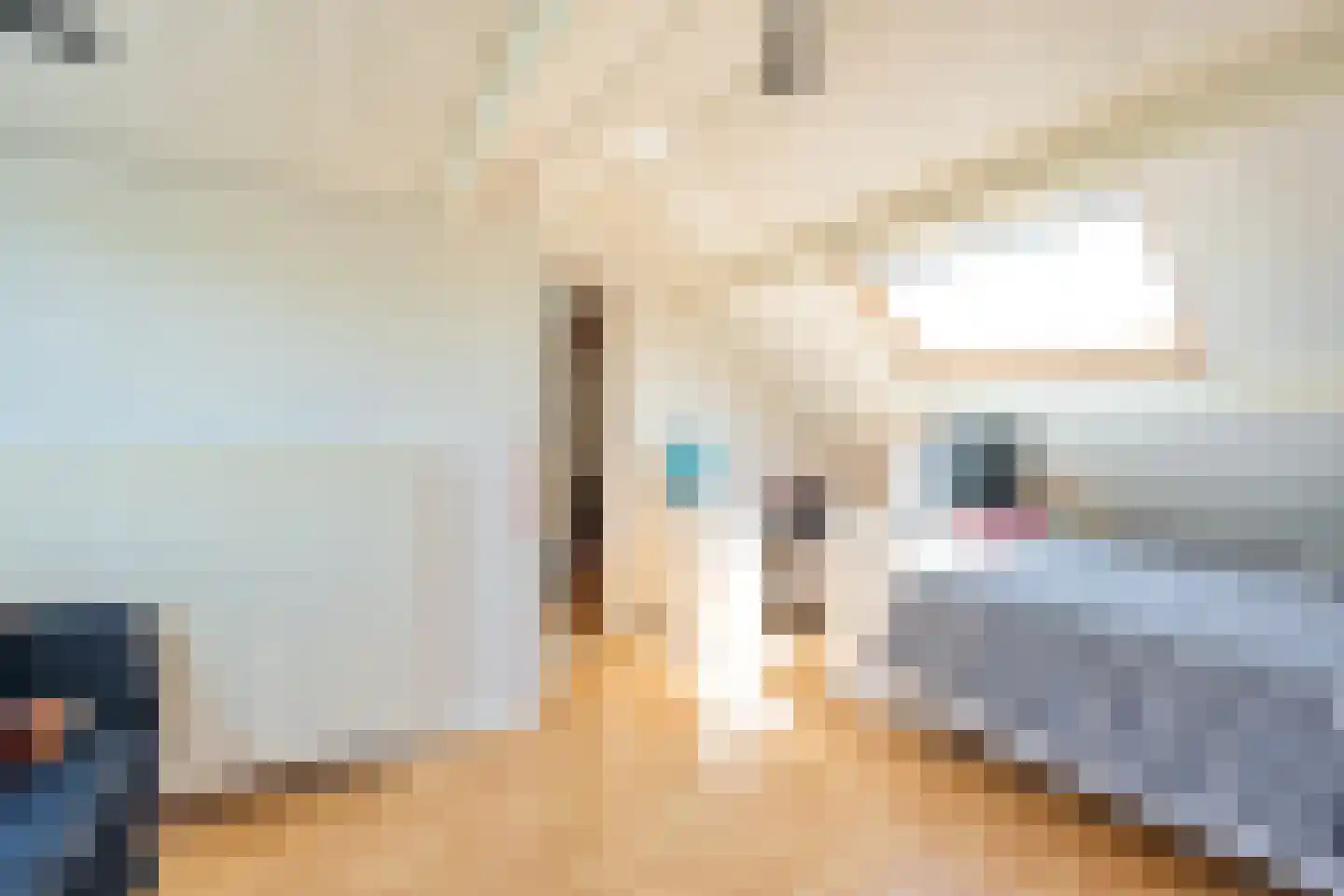 Goudenregenstraat 23 De Zilk thumbnail 18