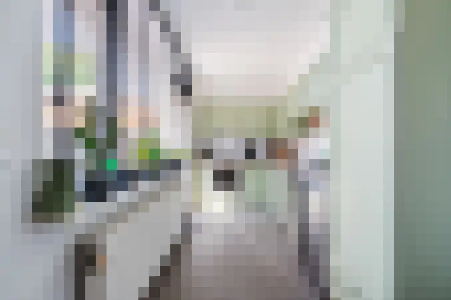 Goudenregenstraat 23 De Zilk thumbnail 7