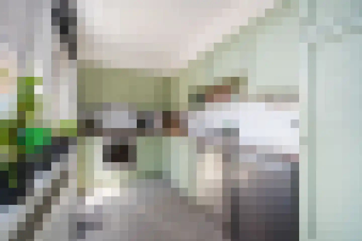 Goudenregenstraat 23 De Zilk thumbnail 8