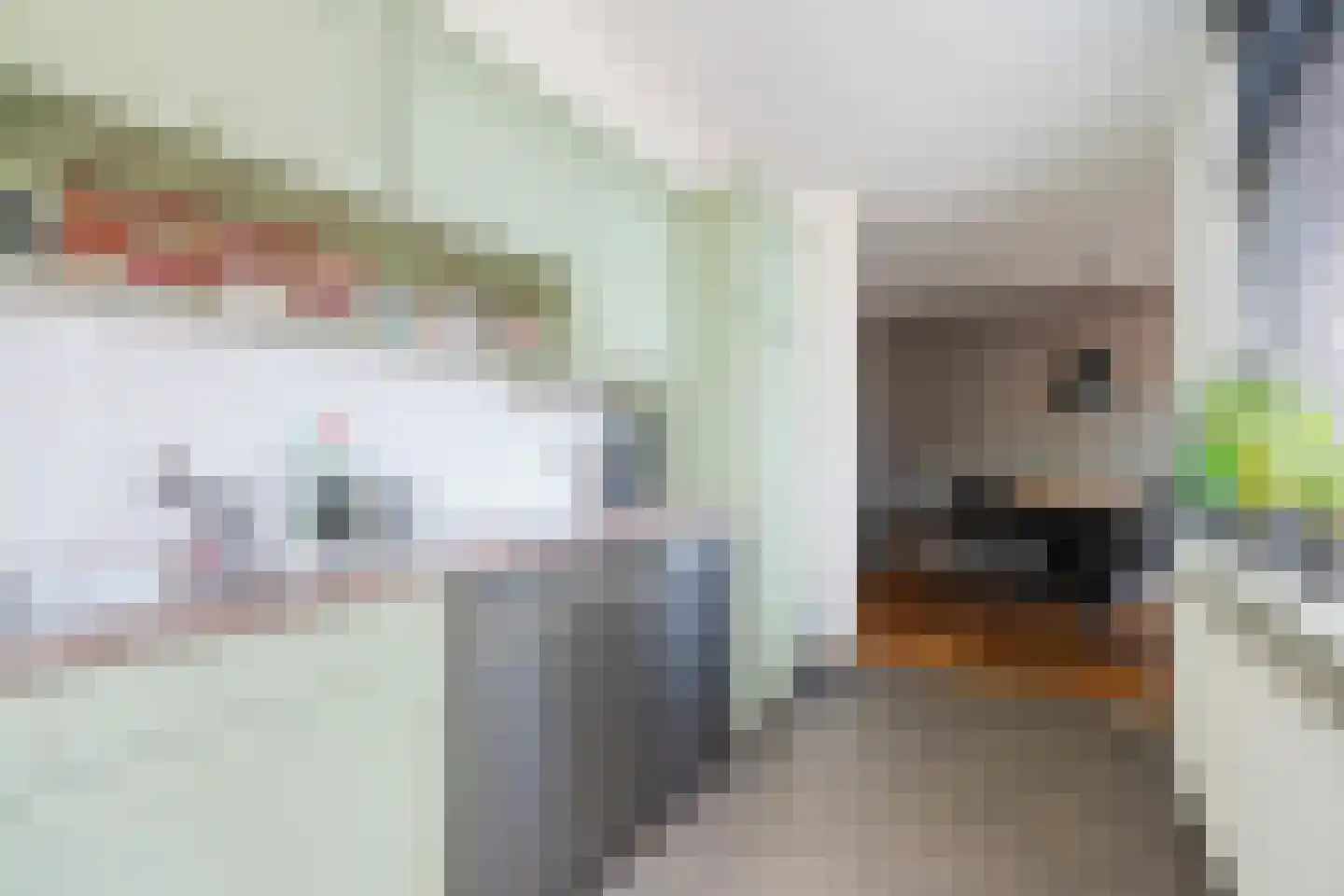 Goudenregenstraat 23 De Zilk thumbnail 9