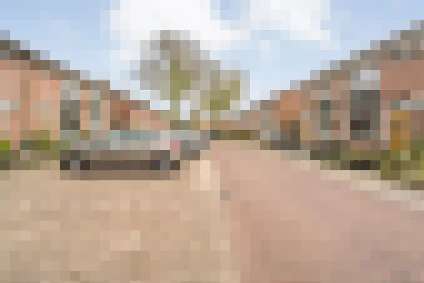 Goudenregenstraat 23 Gramsbergen thumbnail 10