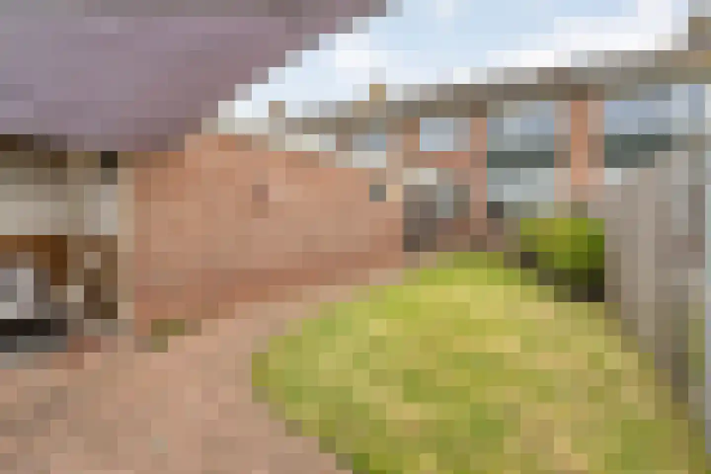 Goudenregenstraat 23 Gramsbergen thumbnail 48