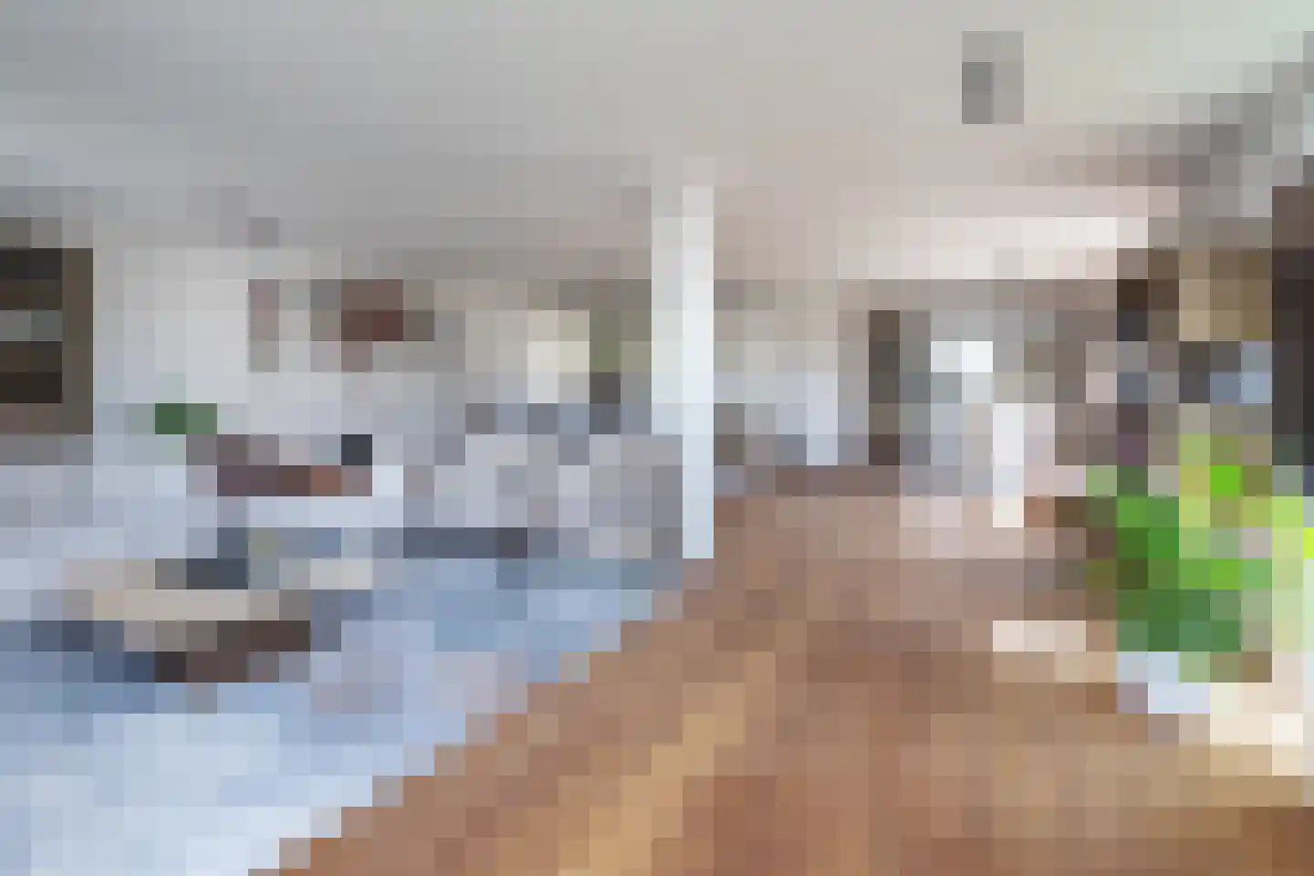 Goudenregenstraat 25 Aalsmeer thumbnail 11