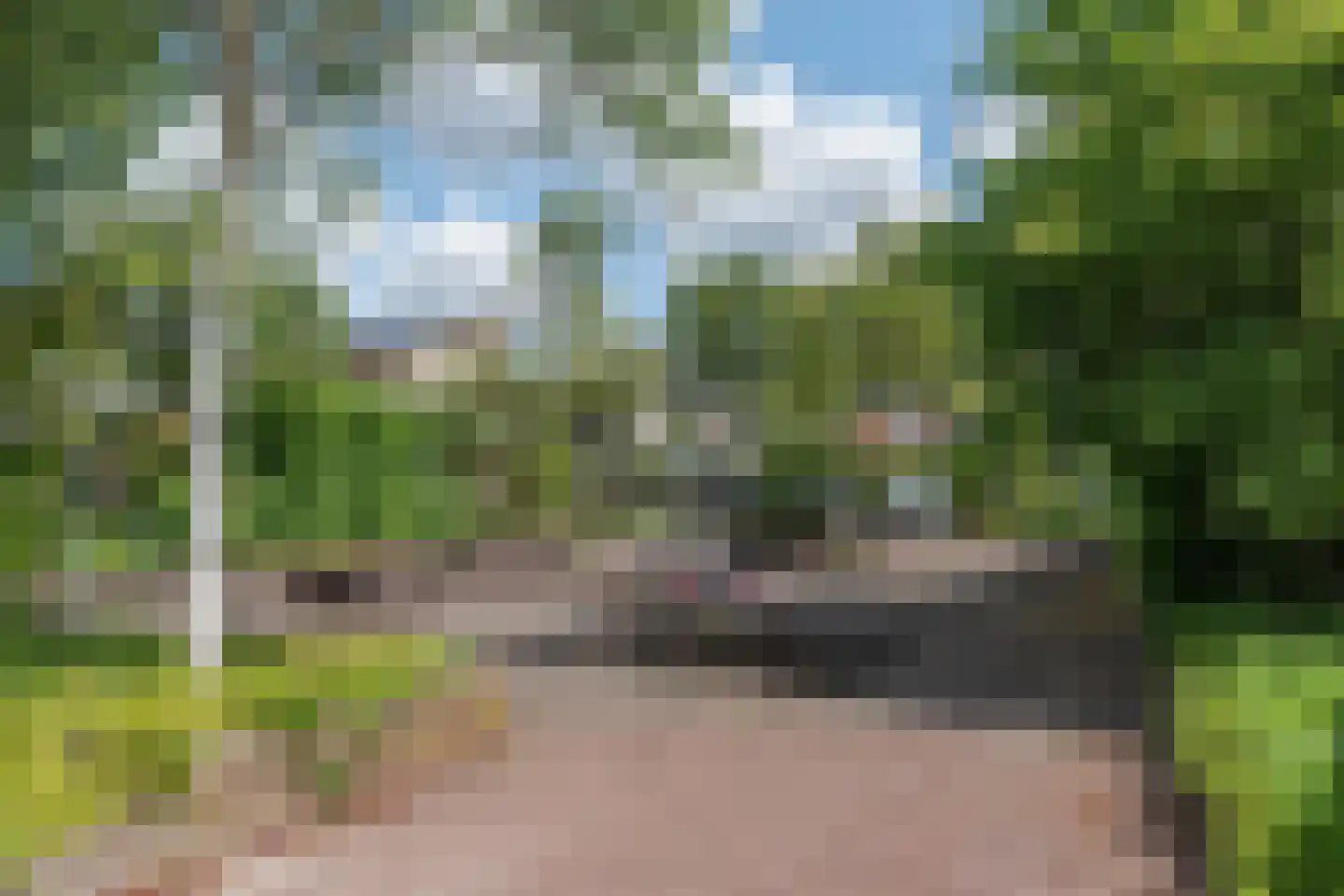 Goudenregenstraat 25 Aalsmeer thumbnail 27